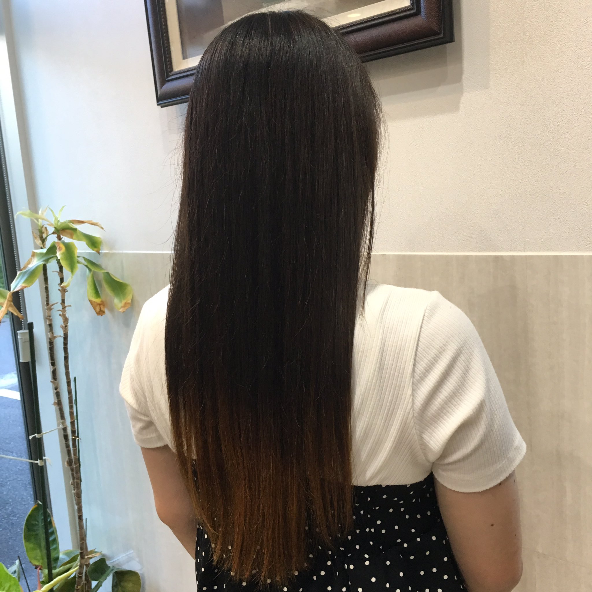 Hair Alouetteヘアアルエット A Twitteren グラデーションカラー 就活をみすえた方にオススメです だって毛先だけカットしちゃえばいいから 笑 ブリーチカラー ケアブリーチ オラプレックス ダメージレス ダメージレスカラー ストレートヘア ロングヘア 美容