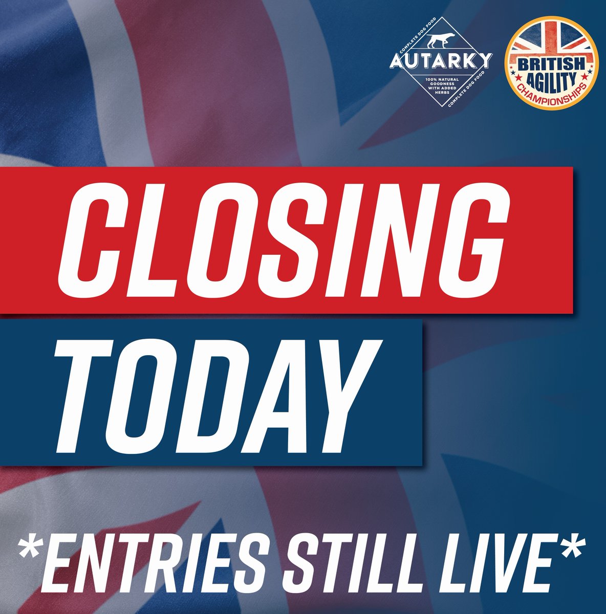British Agility tweet media