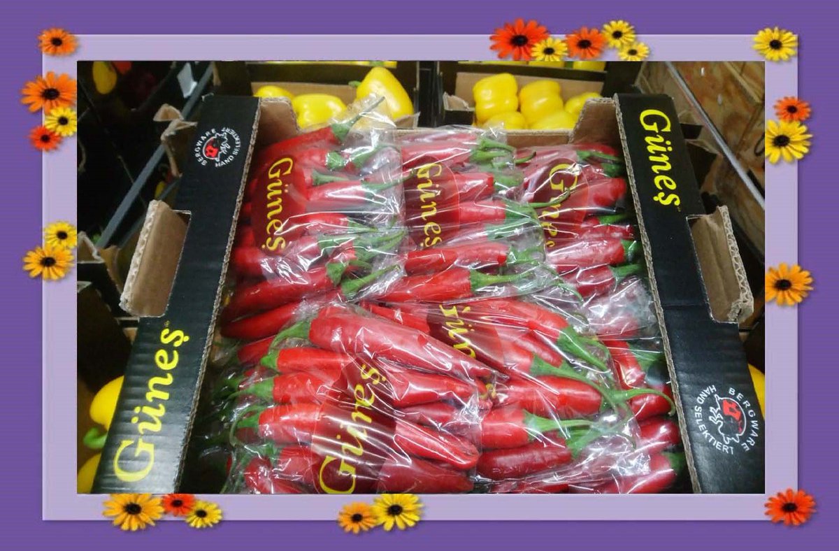 NOVAGRIM_FRANCE's tweet photo. Semaine 40: Arrivage
#vegetables,#antalya,#günes,#rungisinternational,#MINdeRungis,#puech,#montana,#batimentC2,#aubergines,#sivribiber,#sebzehali,#capia,#chilipeppers,#legumesdeturquie,#piment,#turquie,#fransa,#MarcheDeRungis,#RungisInternationalMarket, https://t.co/go7ayIGskn