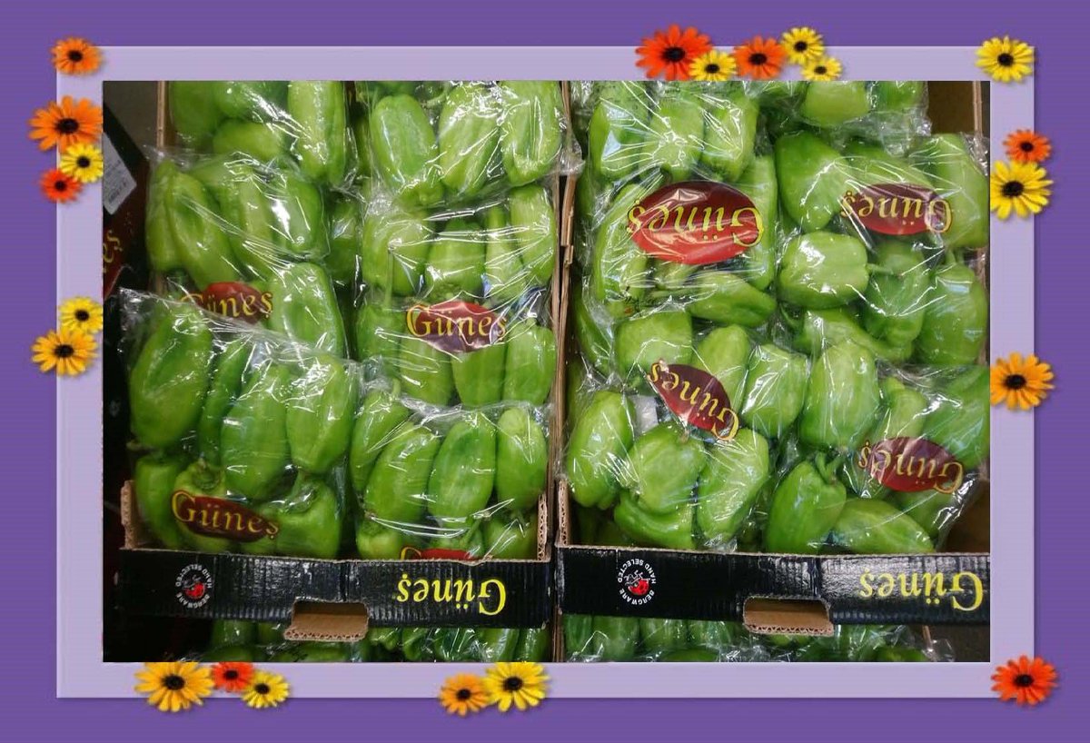 NOVAGRIM_FRANCE's tweet photo. Semaine 40: Arrivage
#vegetables,#antalya,#günes,#rungisinternational,#MINdeRungis,#puech,#montana,#batimentC2,#aubergines,#sivribiber,#sebzehali,#capia,#chilipeppers,#legumesdeturquie,#piment,#turquie,#fransa,#MarcheDeRungis,#RungisInternationalMarket, https://t.co/go7ayIGskn
