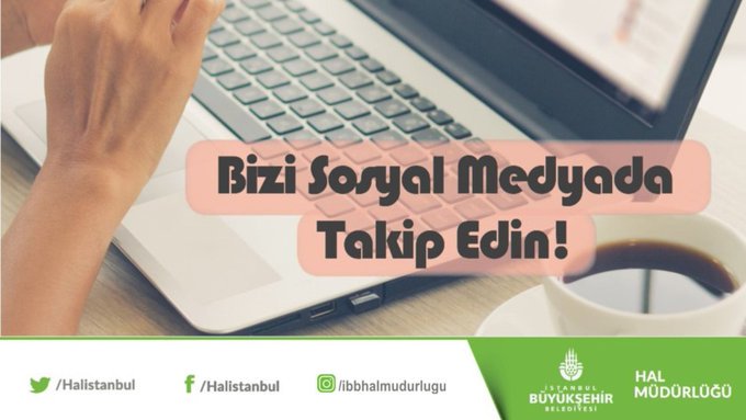 halistanbul halistanbul twitter