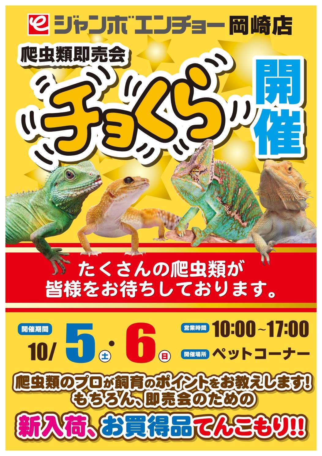 Twitter এ ジャンボエンチョー ジャンボエンチョー岡崎にて爬虫類即売会開催 10 5 土 6 日 の2日間 ジャンボエンチョー岡崎店にて爬虫類即売会を開催します 普段見る事ができない珍しい爬虫類たちが沢山やってきます 価格はイベント特価 特価用品も