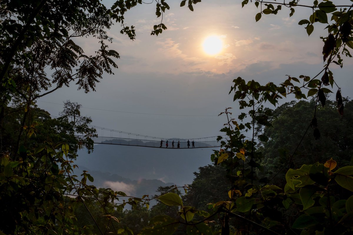 visitrwanda_now's tweet photo. Happy World Tourism Day! Travellers come from far &amp; wide to catch a glimpse of the gorillas, yet there is so much more to see &amp; experience. Why not celebrate this year’s #WorldTourismDay by planning a trip to explore Rwanda! For more information, check: https://t.co/solD7IRvOx https://t.co/a8vPayt6XE
