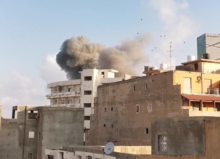 Wild alabama winter haven