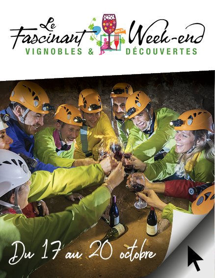 Du 17 au 20 octobre, voici le retour des Fascinants weekends "Vignobles et Découvertes" en sud Ardèche ! Profitez-en pour pour venir découvrir ou redécouvrir les vignobles autrement 🍷🎼 🍂#fascinantweekend #letsgoardeche #vins  rhone-gorges-ardeche.com/tourisme-sud-g…