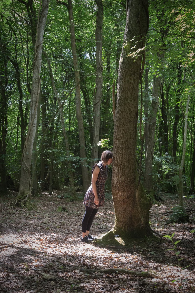 ForestArtWorks's tweet photo. Drawing on neuroscience and the fungal networks between trees, @SylviaRimat's project Some People Climb Up takes you on an audio-walk through #Bristol's Leigh Woods. From 28 Sep to 6 Oct, not to be missed! Get tickets here: https://t.co/D6R42proyt @ace_southwest @ForestryEngland https://t.co/btr1VMY2zd