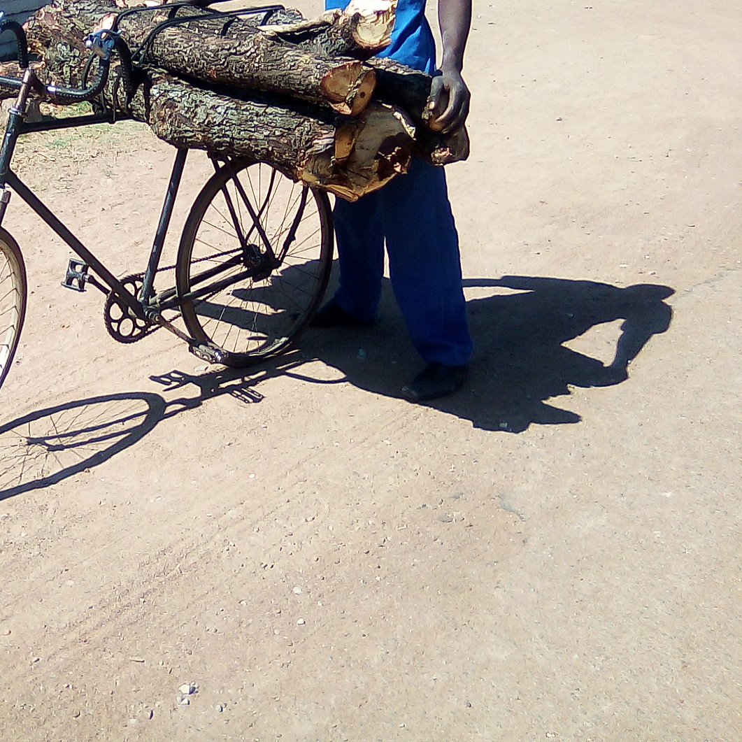 BoldwinMaposa's tweet image. ...the bicycle load relationship resemble the current Ordinary Zimbo and Economy relationship..#itwillwork...#NehandaNyakasikana.
@jahprayzah @edmnangagwa @zimrobbie @titirufu @GlenDhliwayo @munchie2911 @MemoryMutsaka @ProfJNMoyo @nelsonchamisa @Wamagaisa
