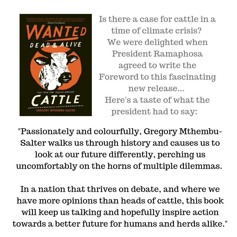 Cover2CoverB's tweet photo. @ExclusiveBooks @CyrilRamaphosa We were delighted when the president agreed to write the foreword to Gregory Mthembu-Salter's new book on cattle in South Africa, "Wanted Dead &amp; Alive: The case for South Africa's Cattle". We really enjoyed hearing what he had to say about it. Hope other readers enjoy it too. https://t.co/PUHWua7iUA