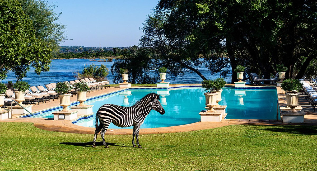 Double Tracks Africa tweet media