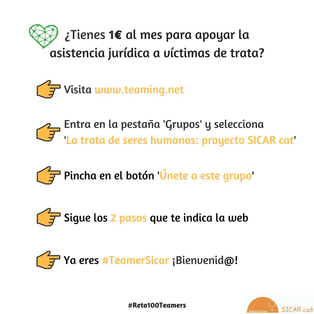 SICAR cat tweet media