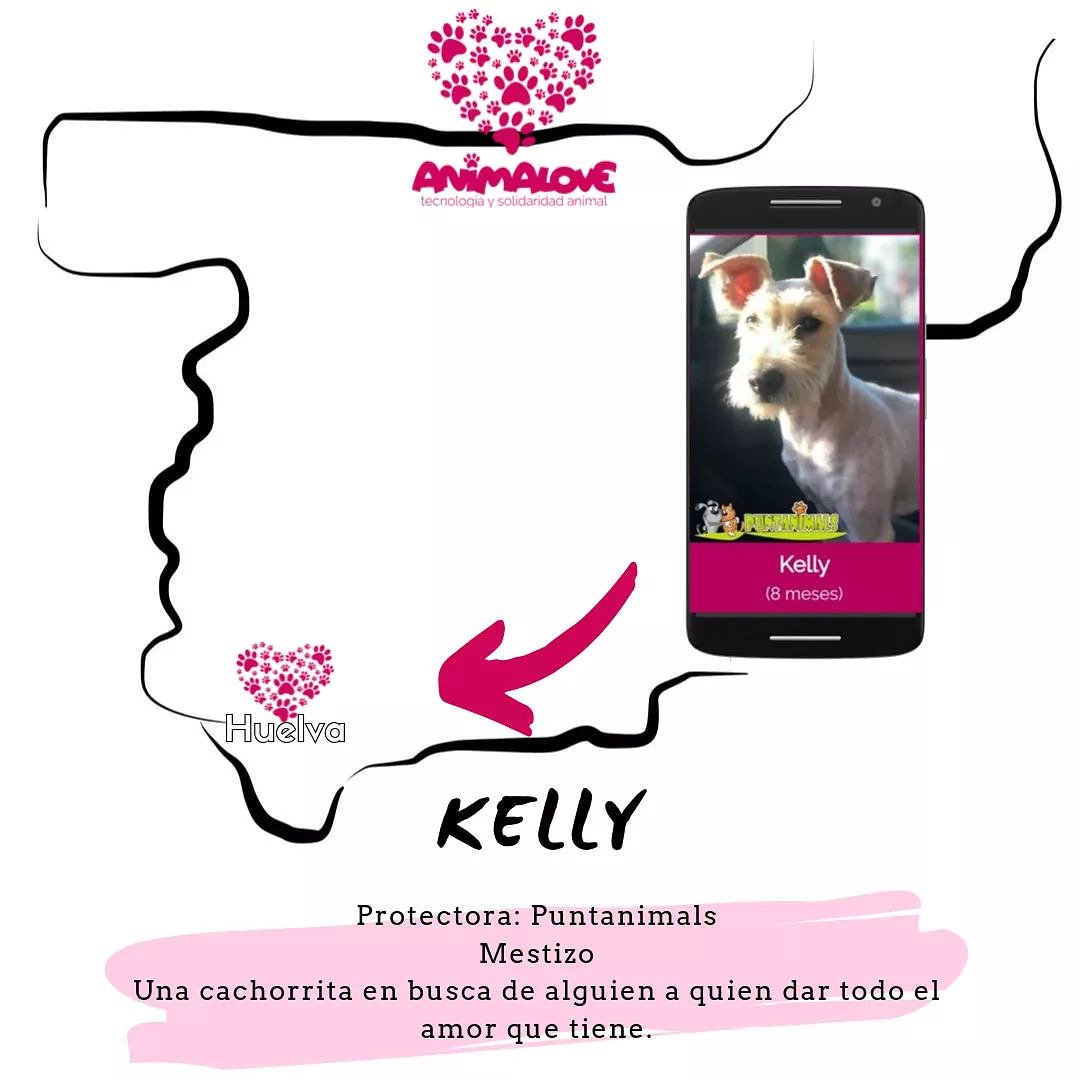 AnimaLoverApp's tweet photo. -->PASA A CONOCER A KELLY
Si no puedes adoptar, también puedes ayudar aportando tu granito de arena. ⚠️Por sólo 3.99€ ayudarás a miles de protectoras españolas a seguir cuidándolos mientras encuentran a su familia ideal. 🤩
APP: https://t.co/bYRFI98gJ6 https://t.co/vGO0yD94y1