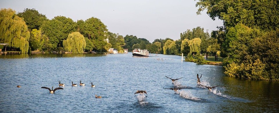 Clay Pipe Music tweet media