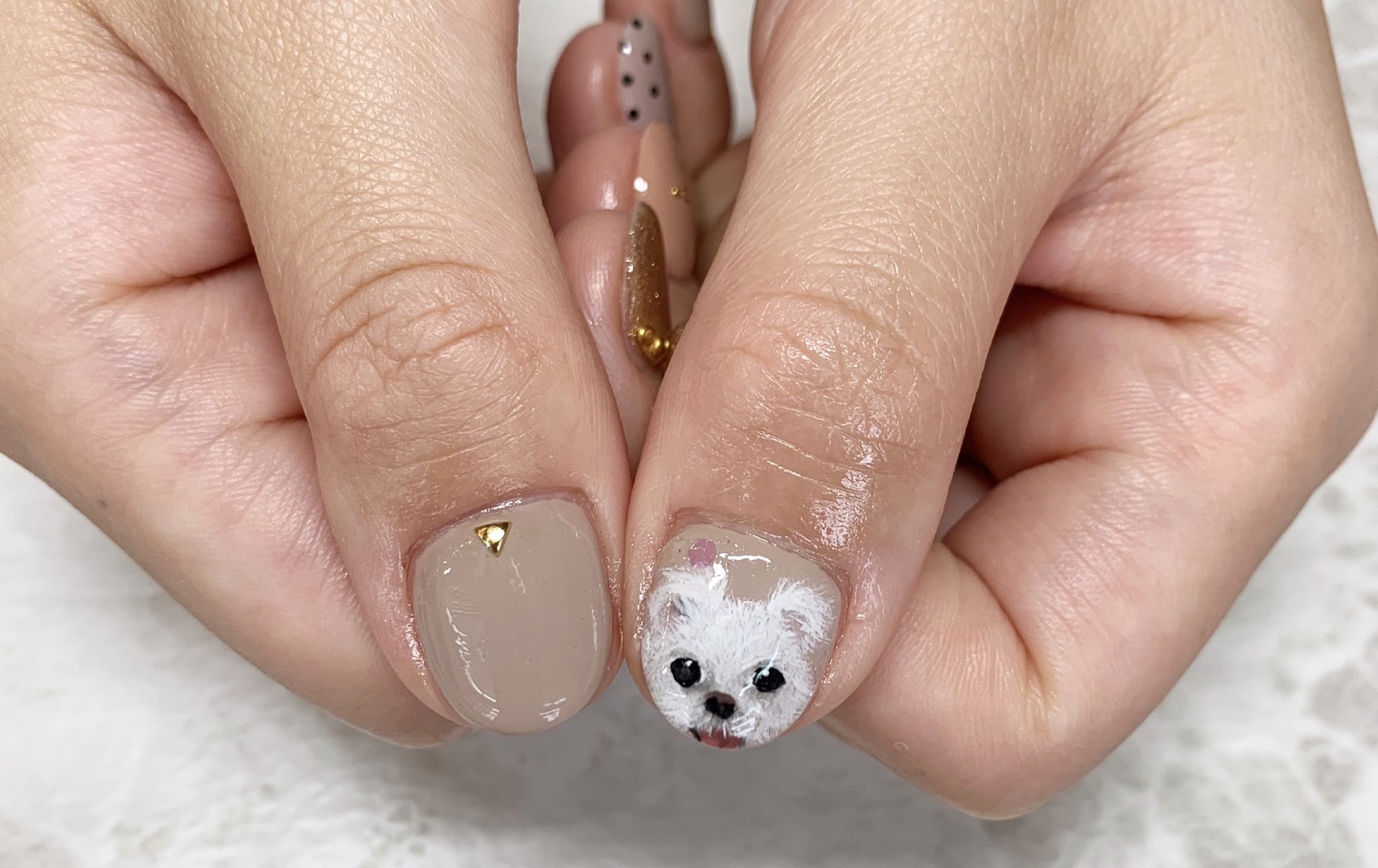 犬ネイルアート Twitter Search Twitter