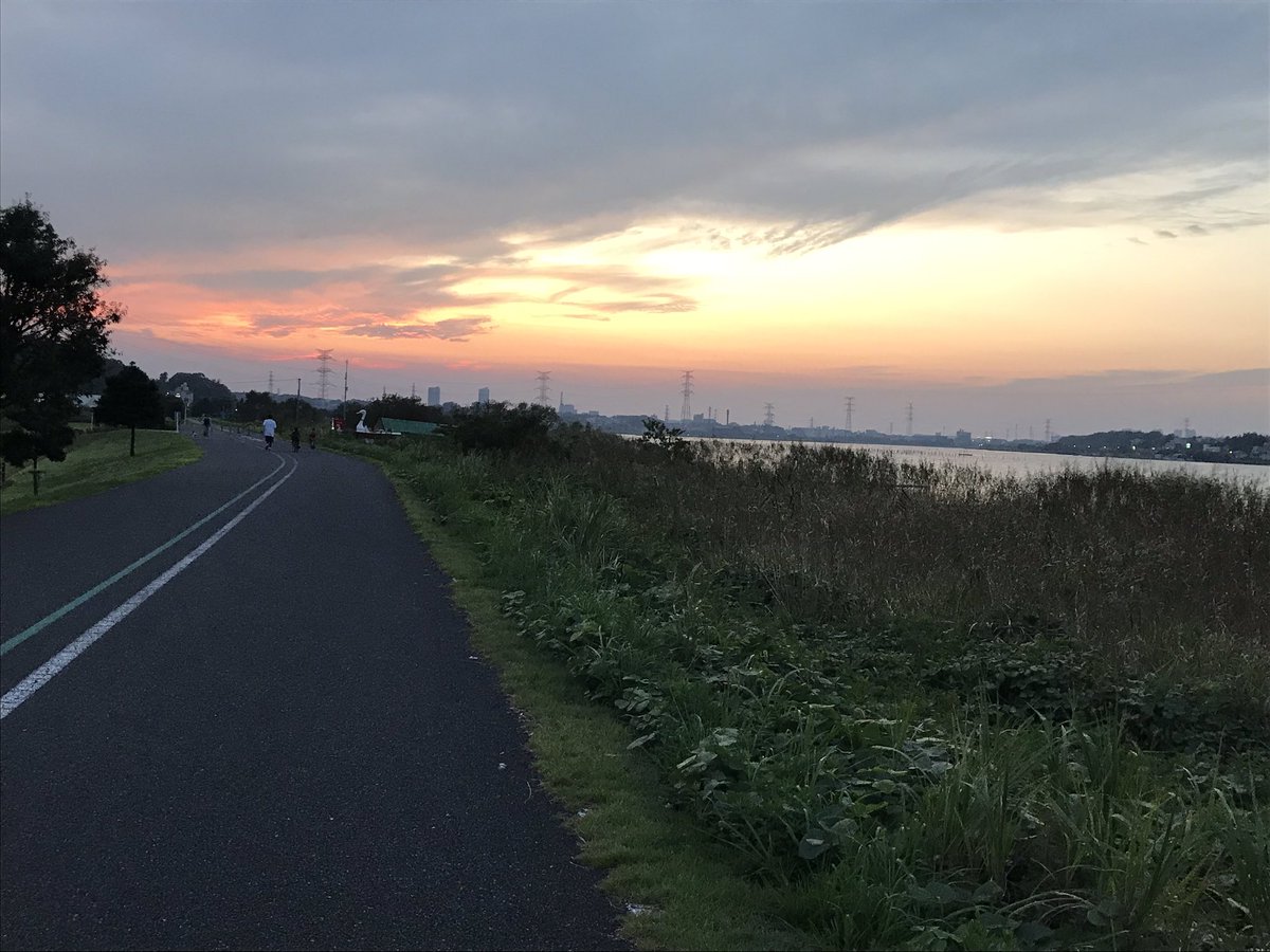 hyperforce1's tweet image. 手賀沼の緑道、サイクリングロードです。
この頃5時30分頃から1時間歩いてます。