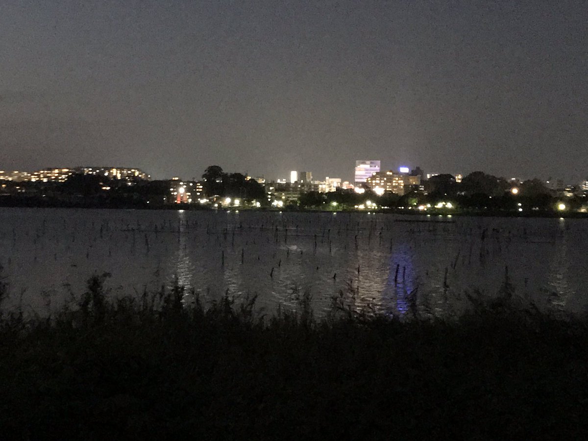 hyperforce1's tweet image. 手賀沼の緑道、サイクリングロードです。
この頃5時30分頃から1時間歩いてます。