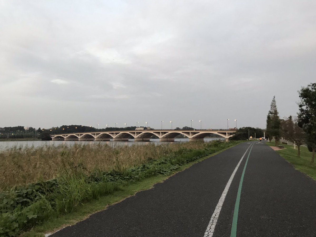 hyperforce1's tweet image. 手賀沼の緑道、サイクリングロードです。
この頃5時30分頃から1時間歩いてます。