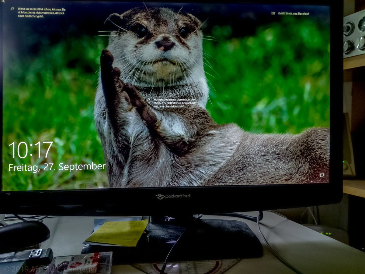 Das zeigt mir Microsoft heute als Hintergrundbild ... 

<a href="/fraupfoetchen/">Pfötchen</a>