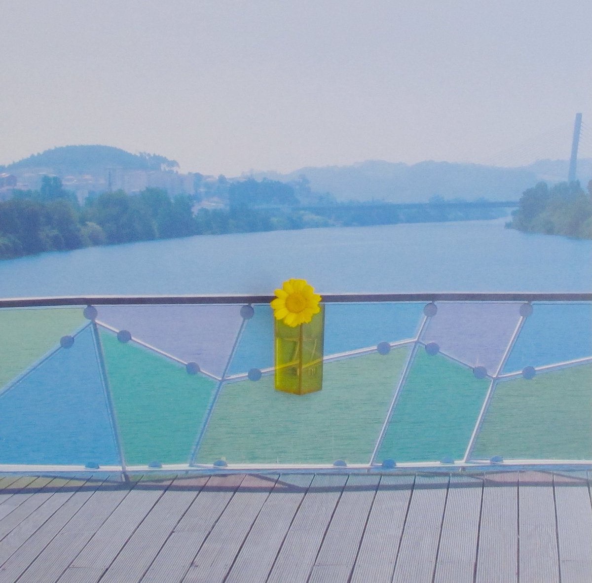 Honevo's tweet photo. BIONIC PHOTO - BIOMIMETIC DREAM #SUSTAINABLE #ART #BIOART #BIOMIMETIC #BIONIC #PHOTO #MORE #OXYGEN #CLIMATECRISIS #HONEVO #FOTOBIONICA #FLOATING #YELLOW #DAISYFLOWER https://t.co/9k2Bx1RXib