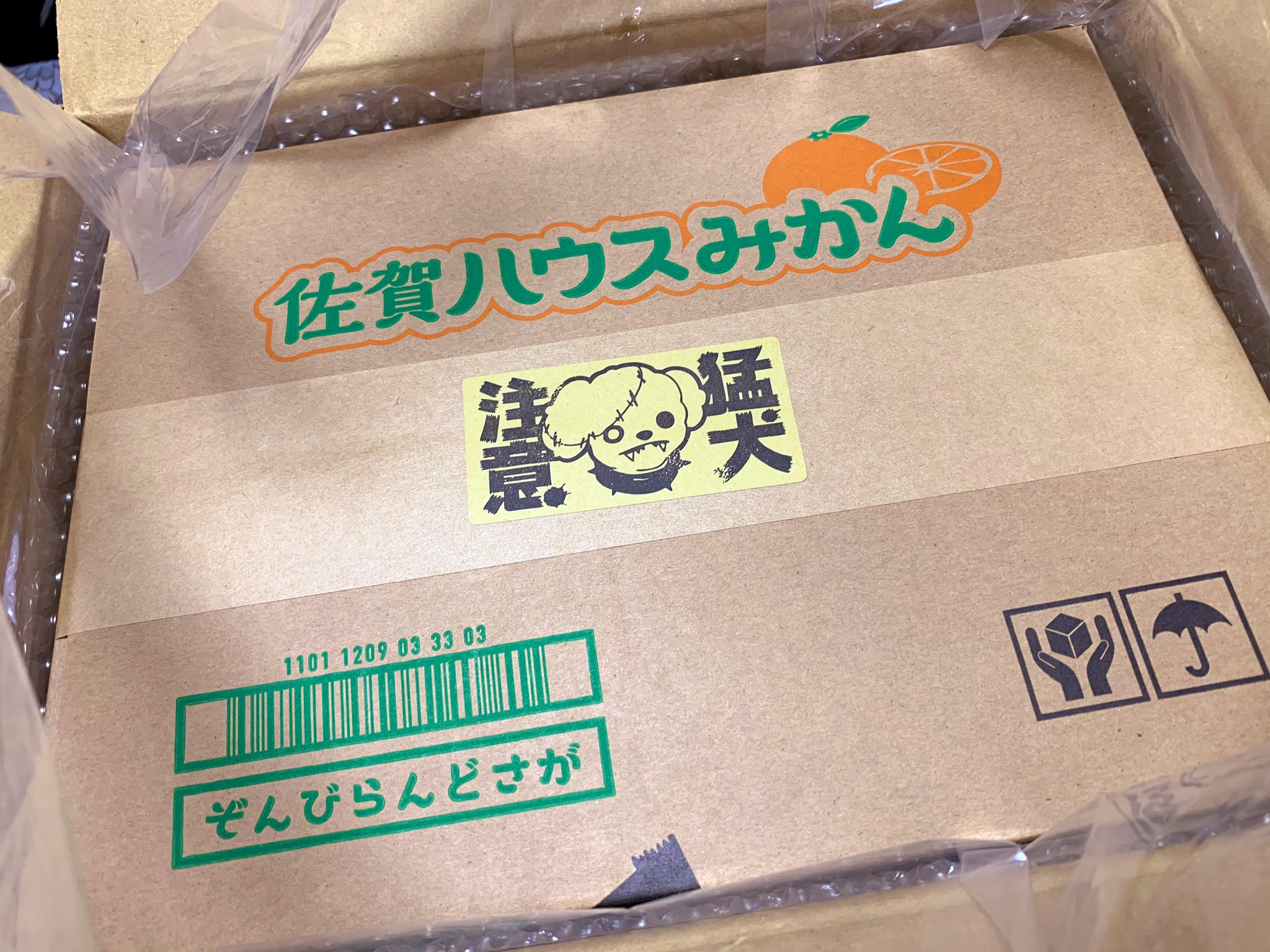 とま ロメロぬいぐるみ届いたけど 化粧箱ですでにゲラゲラ笑ってるwwwww 室内なのでホワイトバランス変わってしまってるのはご愛嬌で ゾンビランドサガ ロメロ とま ロメロぬいぐるみ届いたけど 化粧箱ですでにゲラゲラ笑ってるwwwww 室内なのでホワイトバランス変わってしまってるのはご愛嬌で ゾンビランドサガ ロメロ