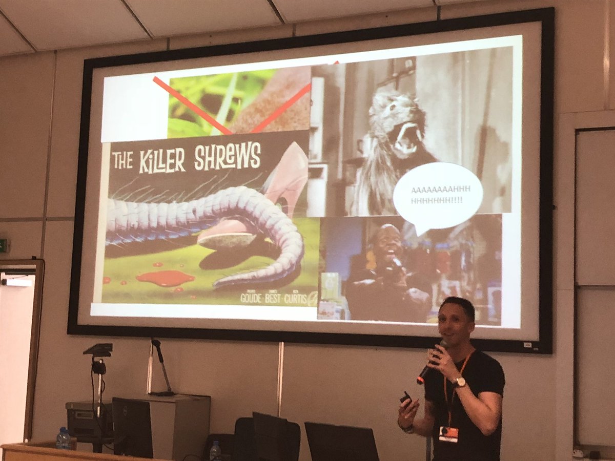 rebecca_synnott's tweet photo. Brilliant talk from @ShrewlockHolmes on using DNA #metabarcoding and #microbiome analysis to study the impacts of the invasive greater white toothed shrew on the Pygmy shrew in Ireland. #ecm8 @EMammalogy https://t.co/iztuPiw3Zm