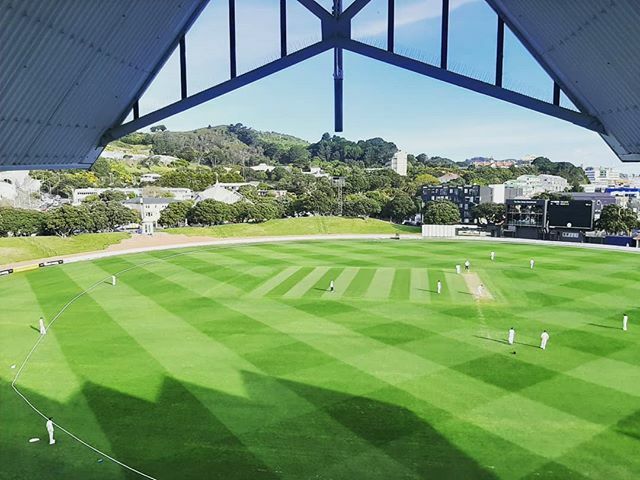 andrewsmithfit's tweet photo. Top of the tower #3back #pitchitup #nochance #squares #headsgone @basinreserve #chestguard @fcolson4 #firecrackers #firebirdsfamily #pigeons #fearless🏏 #cupofteaX8 https://t.co/IewAuKYDYj https://t.co/pdCu1KC0JM