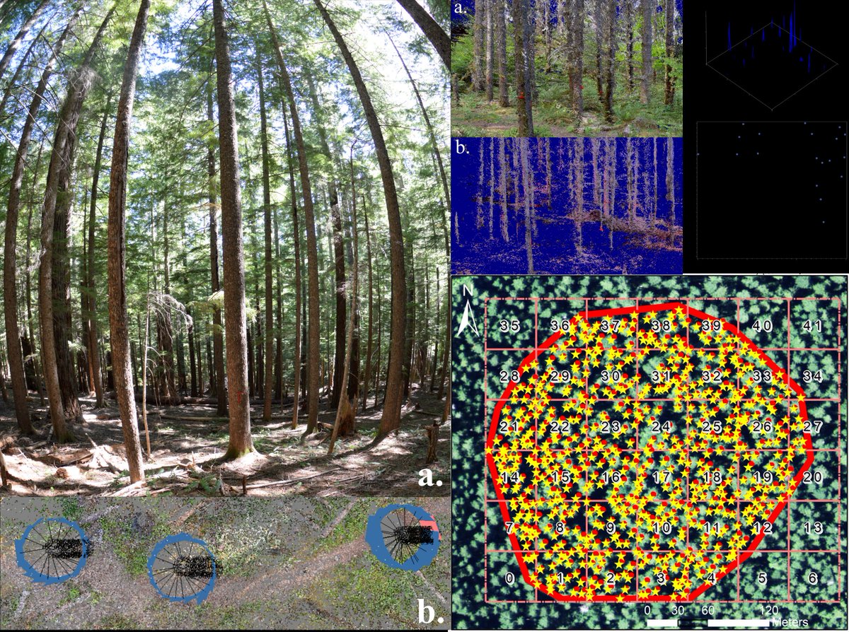 RemoteSens_MDPI's tweet photo. Accurate #GeoReferencing of #Trees with No or Inaccurate Terrestrial #Location Devices
by Bogdan M. Strimbu, Chu Qi and John Sessions
πhttps://t.co/SZmlPGtQTU
#UAV
#UAS
#pointclouds
#treesegmentation
#canopy
#forest
#remotesensing https://t.co/BZCctOH8fF