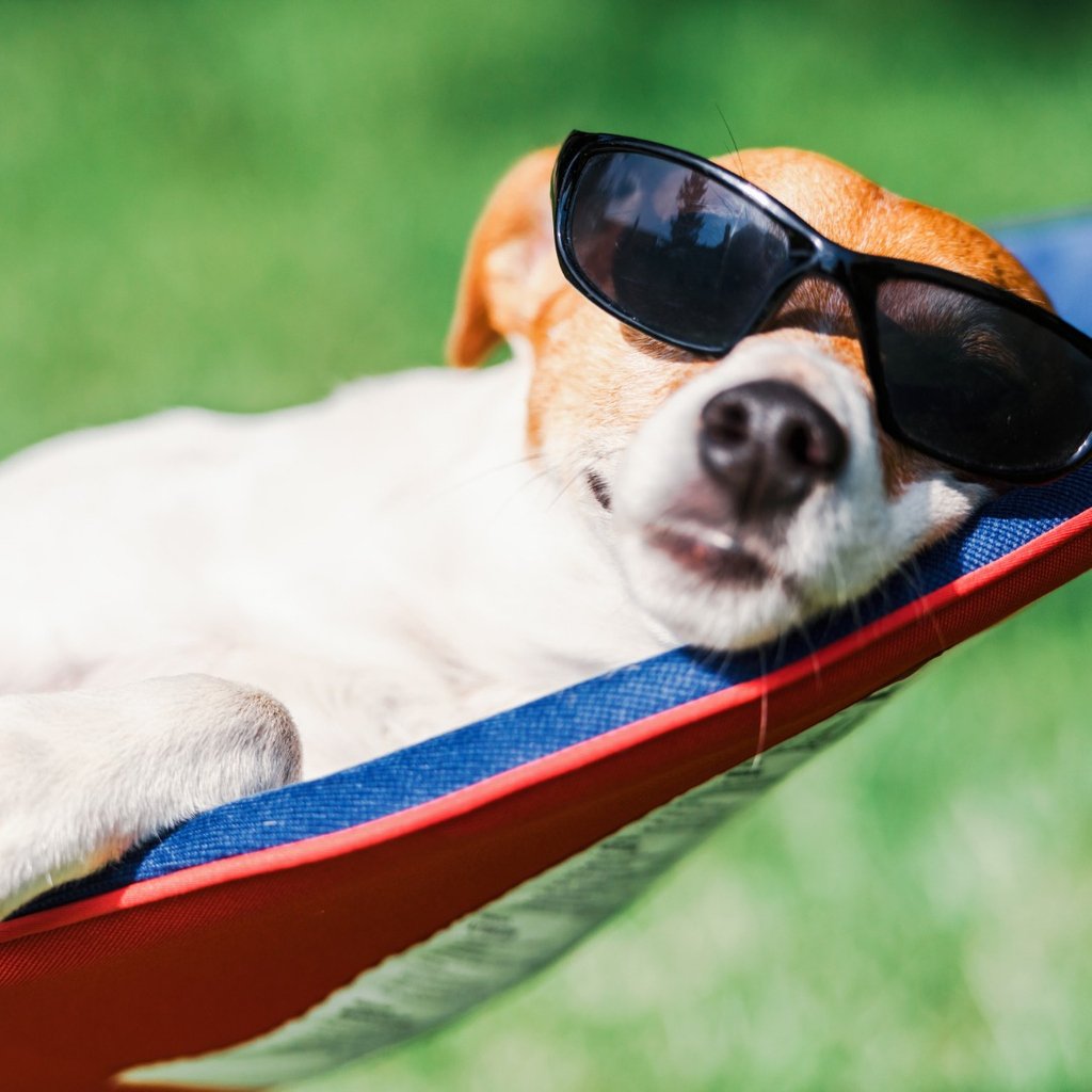 LuthEdAus's tweet photo. We wish those heading in to mid-semester breaks in NSW, SA, NT, WA and Tas a relaxing couple of weeks.
#holidays #midsemesterbreak #refresh https://t.co/YHFkJXc2WR
