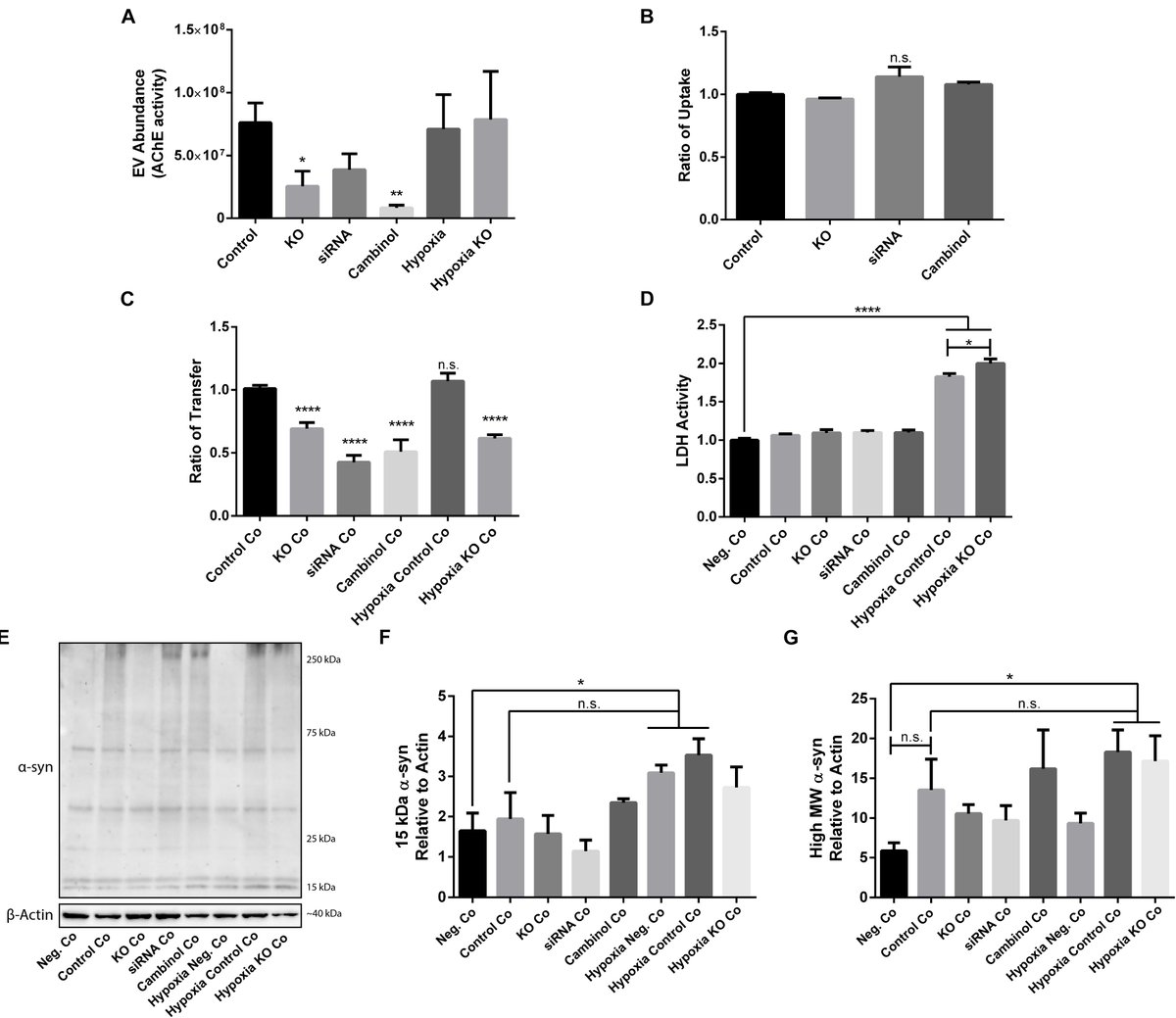 <a href="/HallbeckLab/">Hallbeck Lab</a> report that altering sphingolipids can mitigate the spread of #Parkinsons-associated alpha synuclein, even under hypoxic conditions. Inhibiting nSMase2 (siRNA or cambinol) decreases the transfer of oligomeric aggregates of α-syn between cells
frontiersin.org/articles/10.33…