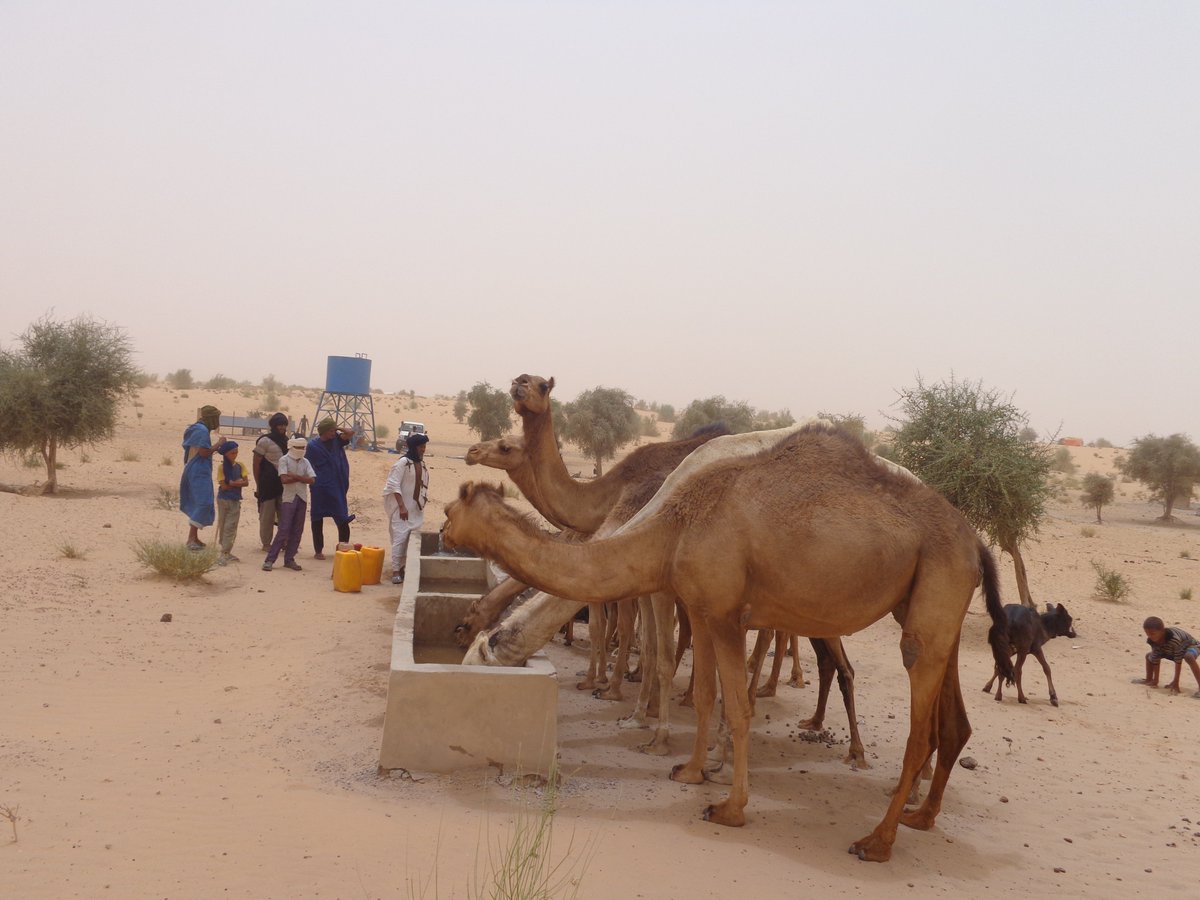 progKEY's tweet photo. À #Taoudénit, afin de permettre un accès plus facile à l’eau de boisson et pour l'abreuvement des cheptels, le consortium #ALBARKA (@AVSF_ONG, @icd_mali, #ADESAH et @VSFint) appui les communautés à travers la réalisation de forages solaires.
#progKEY @europeaid @MimicaEU https://t.co/rn29Kij0uD