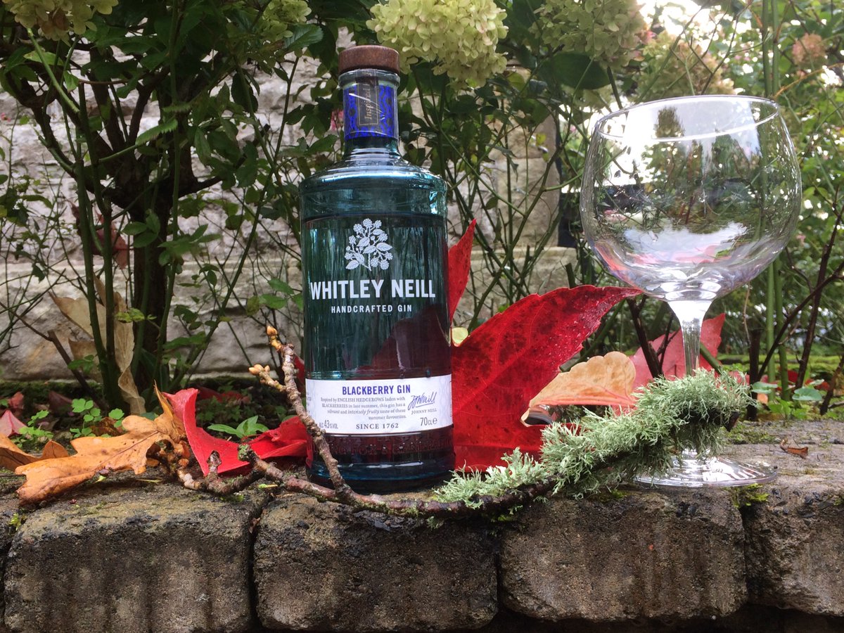 Autumn berries. Berrylucious!

#AutumnIsComing #autumnleaves #FridayFeeling