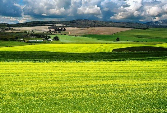 AGROSMART_ua's tweet photo. БОЛЬШЕ ПОЛОВИНЫ УКРАИНЦЕВ ПРОТИВ ОТМЕНЫ МОРАТОРИЯ НА ПРОДАЖУ ЗЕМЛИ
https://t.co/lPuoNI8SdL
#земля #продажа #мораторий #отмена #одобрение #против #украинцы #украина #агросмарт #agrosmart https://t.co/Jzluq3X1oY