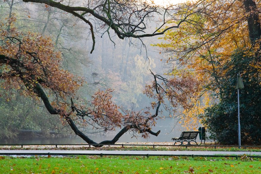 SamsonUE's tweet image. Producten met het #FSC label ondersteunen de sociale, ecologische en economische behoeften van huidige en toekomstige generaties. Samson werkt al sinds 1997 FSC gecertificeerd. Let's celebrate #FSCFriday and let's make a difference together! #trees #sustainable #protectourforests