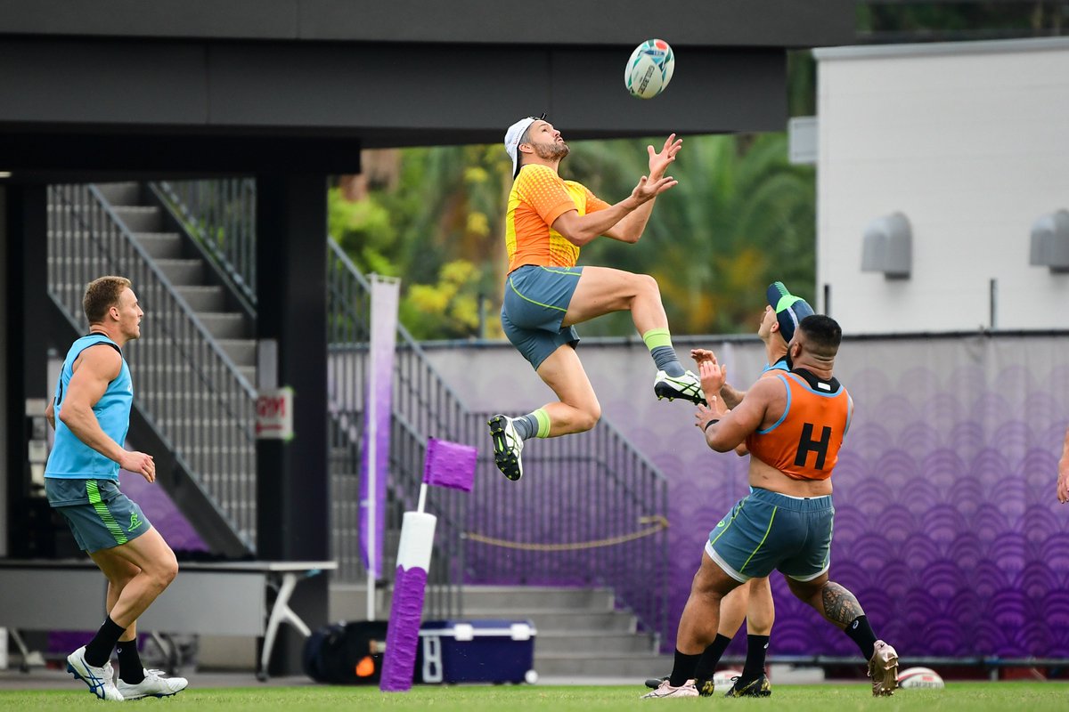 Wallabies tweet media