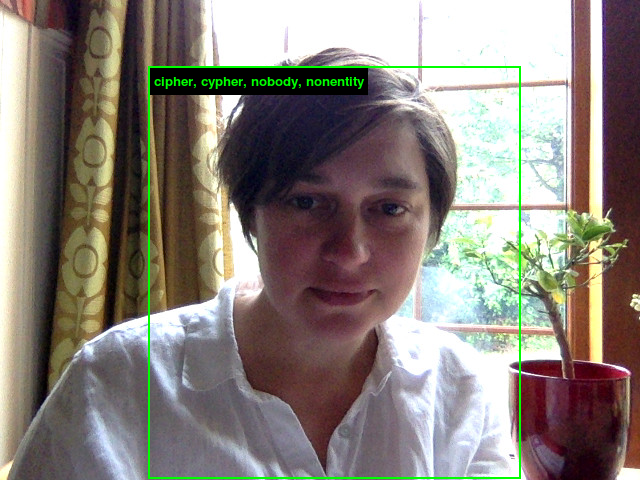 sarahecook's tweet photo. last chance to play with https://t.co/lc3qkqiU7M #ImageNetRoulette - I think the system really knows me now ;-) https://t.co/8baU2YlmX5