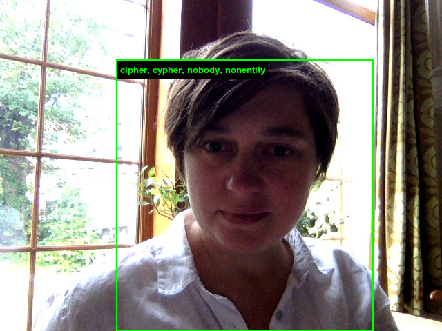 sarahecook's tweet photo. last chance to play with https://t.co/lc3qkqiU7M #ImageNetRoulette - I think the system really knows me now ;-) https://t.co/8baU2YlmX5