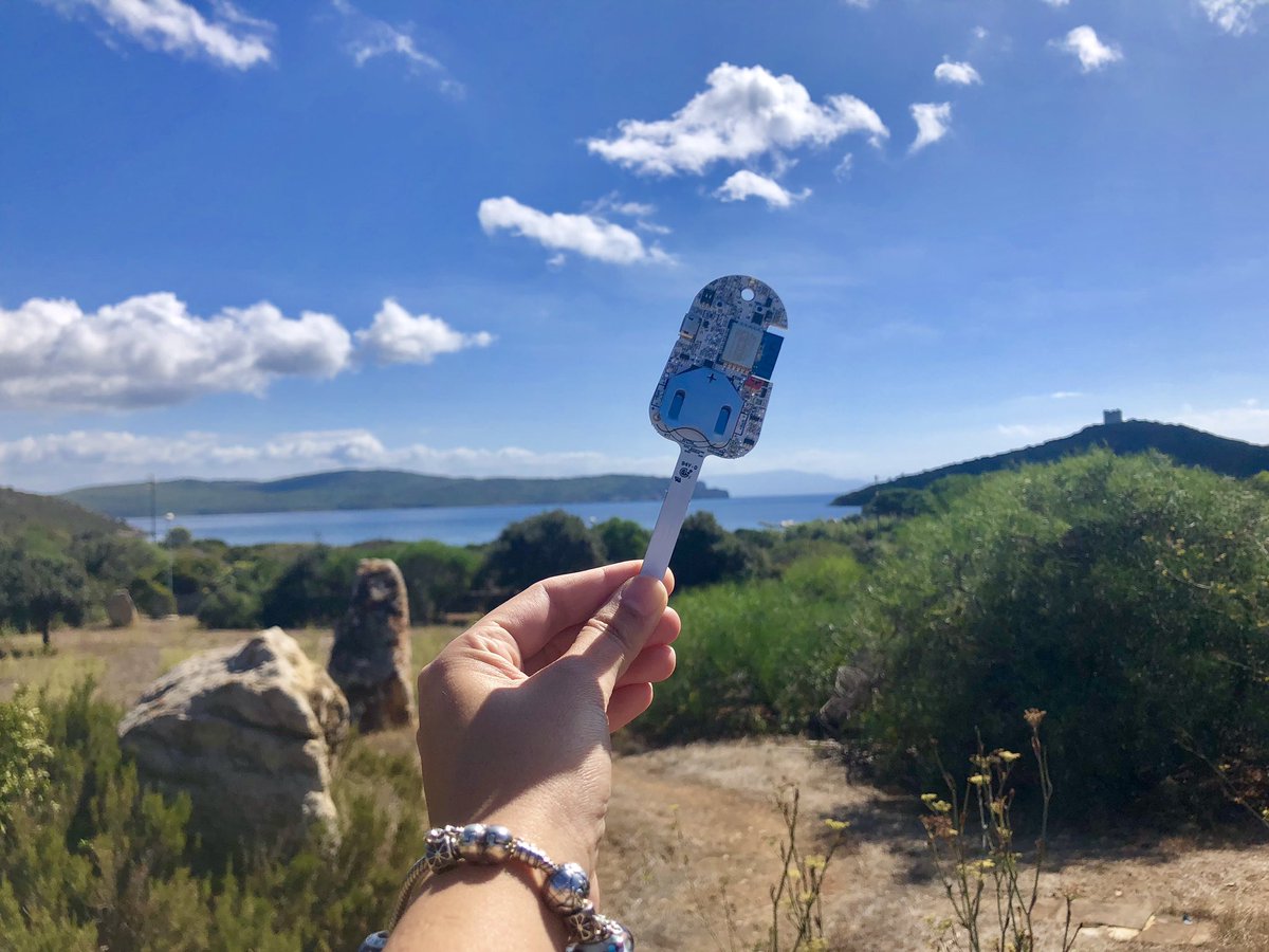 CPSschool24's tweet photo. We would like to thank #Lifely for being our sponsor during the #CretiveLab. #agrumino is waiting for the best team... but in the meanwhile it is enjoying this awesome landscape! #CPSschool19 @SardegnaRs @Abinsula_it https://t.co/LrMYHrMBWA
