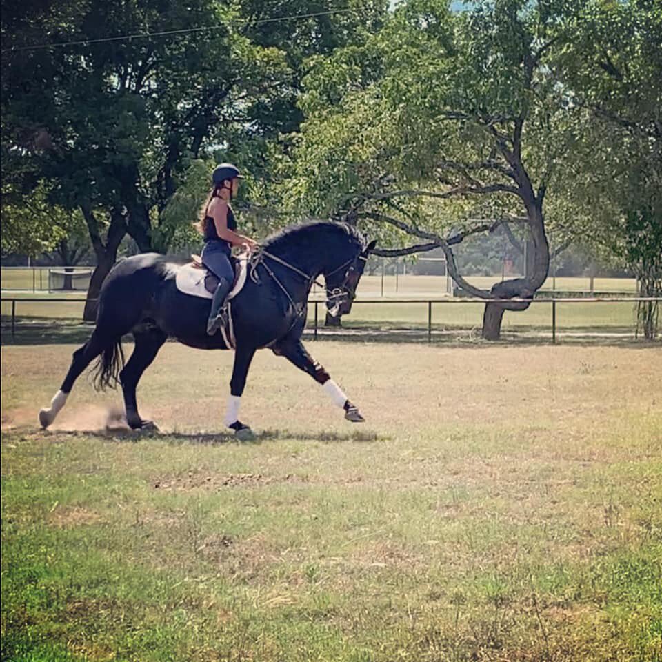Schreiner Equestrian team enjoyed a beautiful day at Camp Stewart yesterday! #GTS #equestrian #practicemakesperfect #campstewartforboys