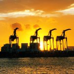 港湾に現れたサバンナ風の景色!沈む夕陽と相まってすごく綺麗!