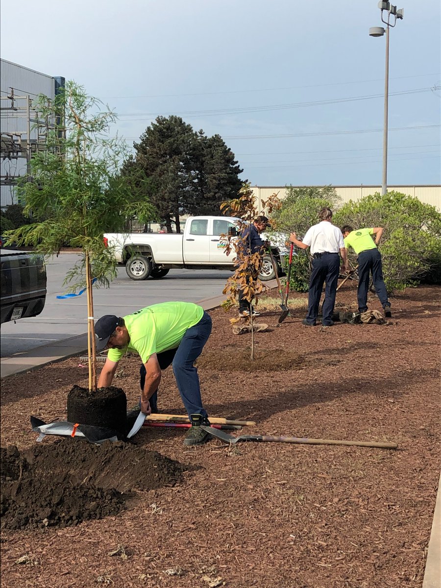 PortsofIndiana's tweet photo. Another beautiful morning to help beautify our local community in NW Indiana! Today, volunteers are planting trees and laying mulch at Central Coil Processing. 🌲🍃 Thanks to all for your help! #PortsofIndiana #Burnsharbor #WeArePOI #DigDeep #Community @WildlifeHC @forestservice https://t.co/RITln9JeEf