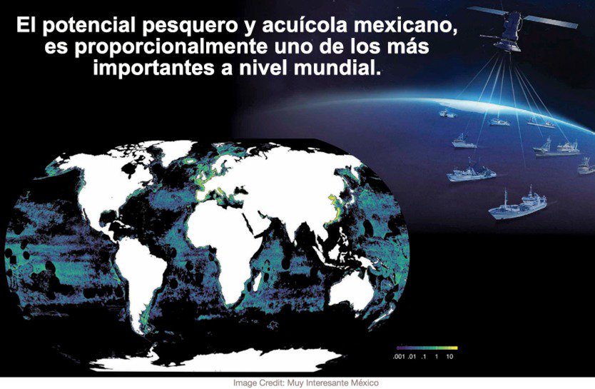 juanmanuelmoran's tweet photo. México es el país con mayor litoral de América Latina, sin embargo nuestra producción pesquera es 10 veces menor que la de Perú y cuatro veces menor que la de Chile. Urgen políticas públicas que impulsen nuestra competitividad. Fuente: @imcomx 
@humbertob02 @eorba @vmva1950 https://t.co/o2CsDJ38Be