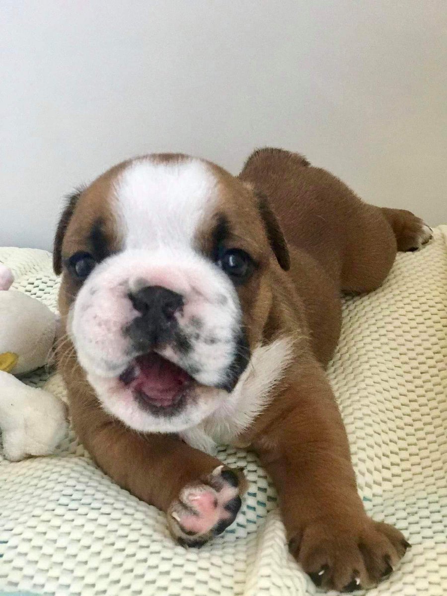 BrightestJason's tweet image. m.facebook.com/story.php?stor…