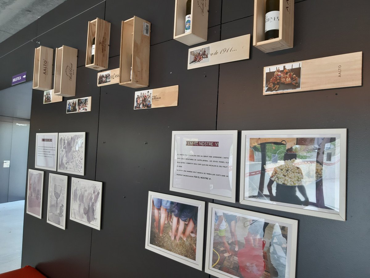 ielesvinyes's tweet photo. Ja tenim al nostre vestíbul una representació de tota la tasca feta durant el Pla d'Acollida d'aquest curs: pintura amb vi, trepitjada de raïm, disseny de l'etiquetatge. 
Un bon producte que ens acompanyarà a madurar al llarg de tot el curs. https://t.co/5YGuYvWkQs