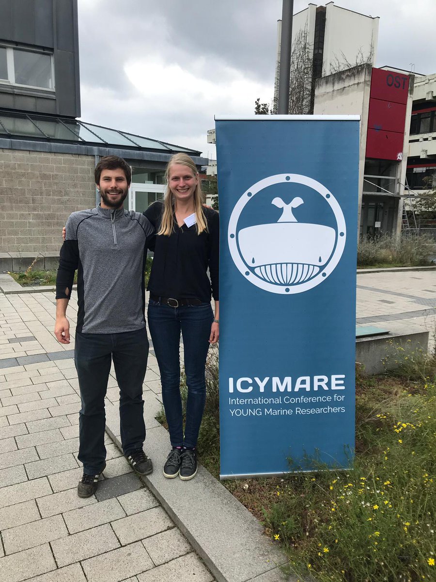 SeaUseTip tweet media