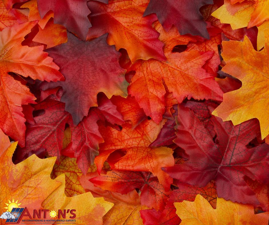 When the leaves change colors, it's time to start thinking about your home's heating! To learn more about our heating services, please visit our 
website! » bit.ly/2TT5deK