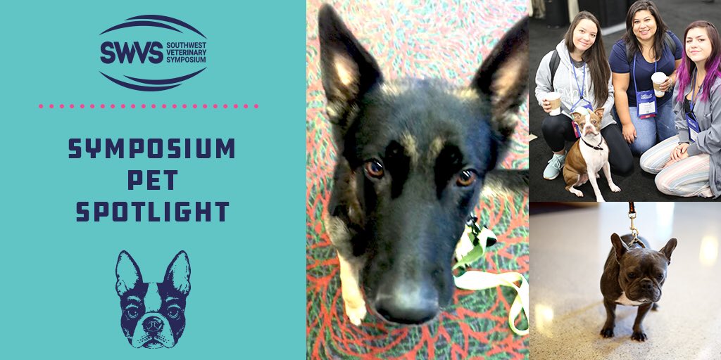SWVS's tweet photo. Did you bring your pet to the Symposium? Tag us in a post! #swvs2019 #SymposiumPetSpotlight https://t.co/tF2OSchjz4