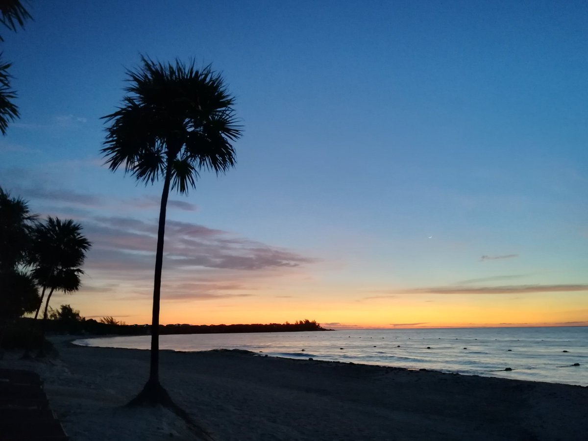 ChristianCacho's tweet photo. Good morning Quintana Roo #caribe #caribean #QuintanaRoo #rivieramaya #paradisus #PlayaDelCarmen #relax https://t.co/qak7m2qHYB