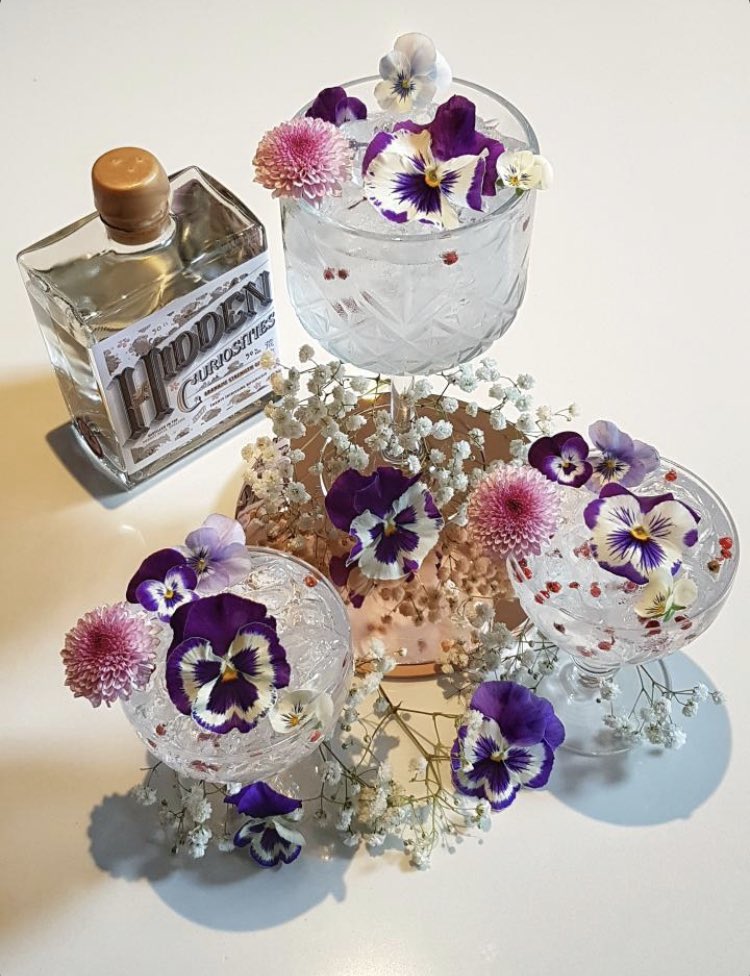 Hidden Curiosities Gin tweet media