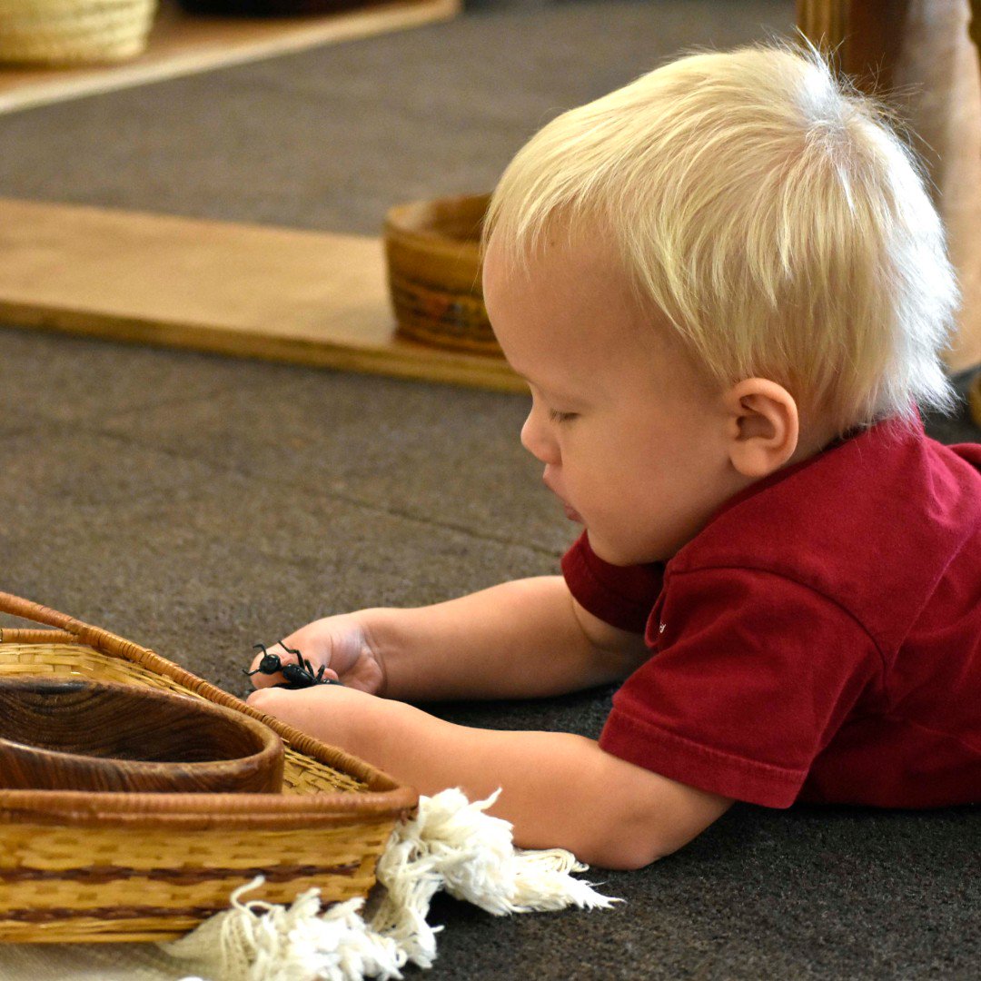 TheButlerSchool's tweet photo. “The first essential for the child’s development is concentration. The child who concentrates is immensely happy.” ~ Dr. Maria Montessori. See more pictures on our FB page.

#JoyfulLearners #EducationForLife https://t.co/5yKgZiwVhi
