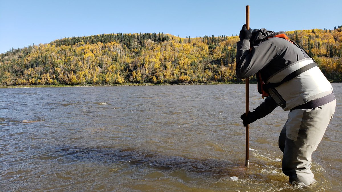 BioMESLab's tweet photo. Pics from our #oilsands benthic #biomonitoring reference site, but still with natural exposure to bitumen. #kicknet bug sampling
@ECCCSciTech https://t.co/d5ZGgu2hJw