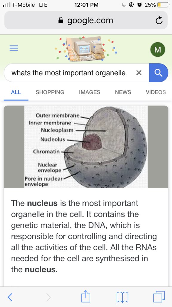 yungnucle's tweet photo. google don’t lie https://t.co/prBlsSfFxC